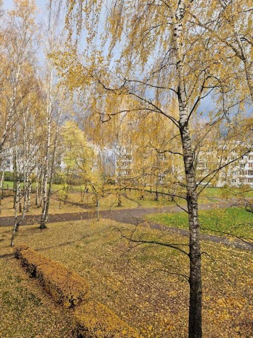 Ilguciema Apartment Рига Екстер'єр фото